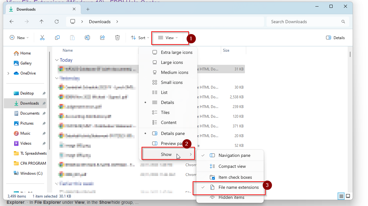 Show file name extensions.png