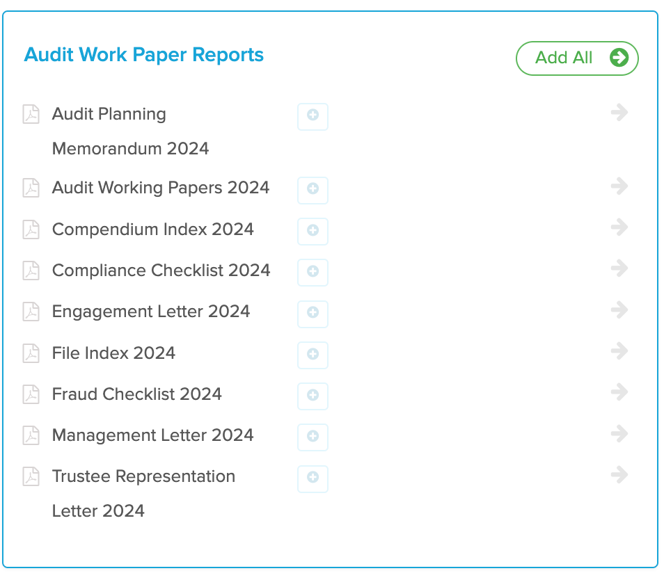 Audit reports 2024.png